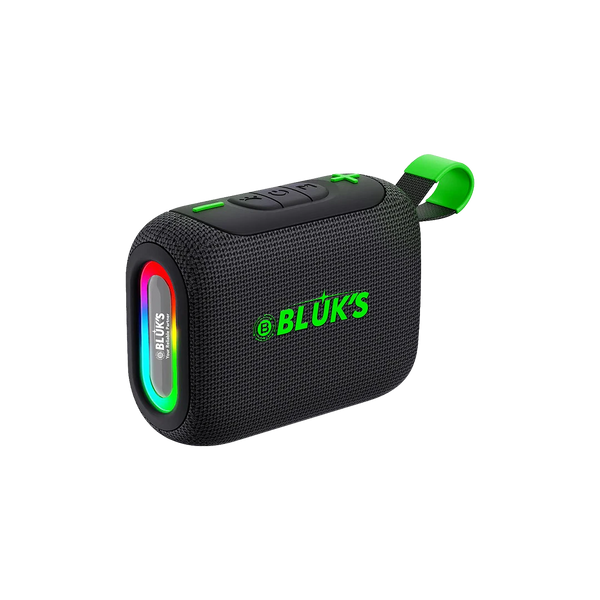 Portable Speaker