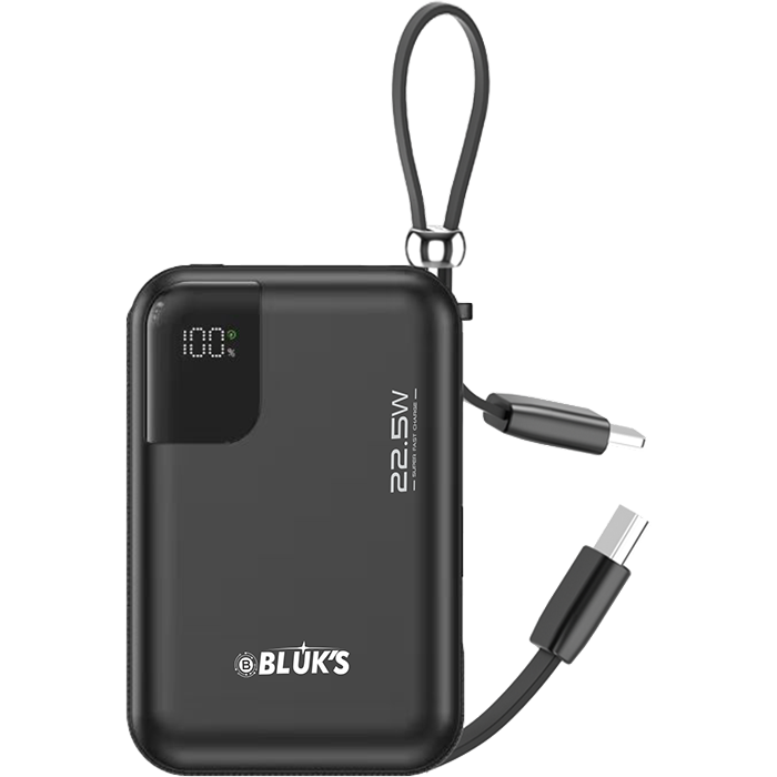 BX-308 SwiftCharge Bank 20000mAh
